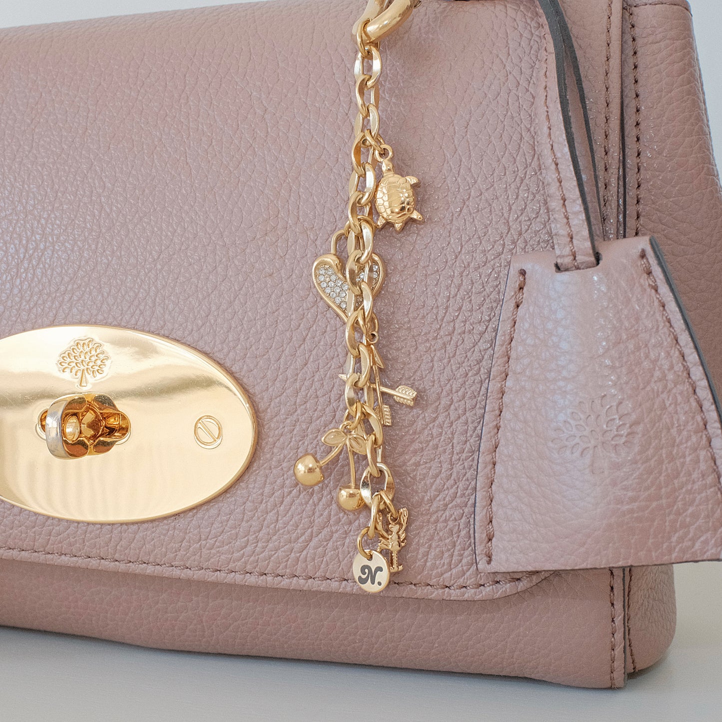 Carabiner Bag Charm