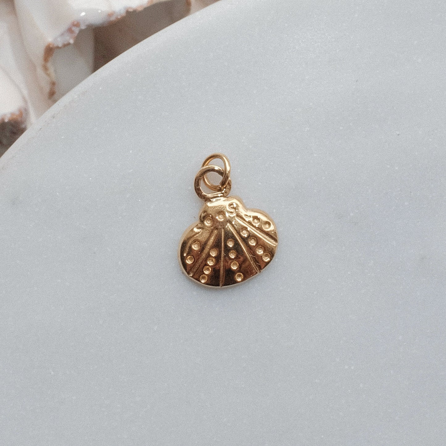 Gold Clam Charm