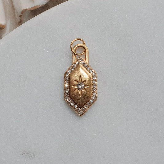 Gold Shield Charm